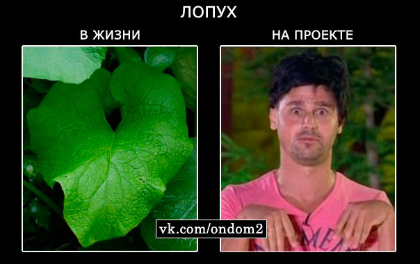 Новости россия в иране