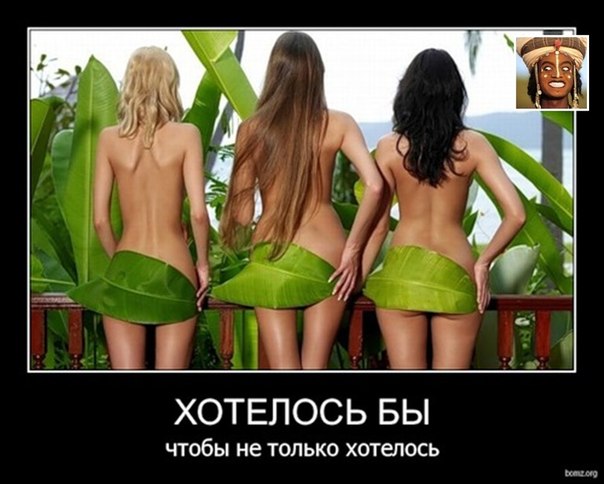 О О.   в