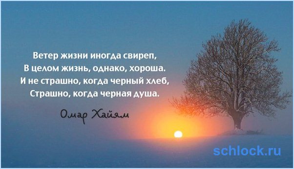 Афоризмы о севере Афоризмы о севере